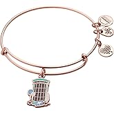 Alex and Ani Harry Potter 'Honeydukes' Charm Bangle