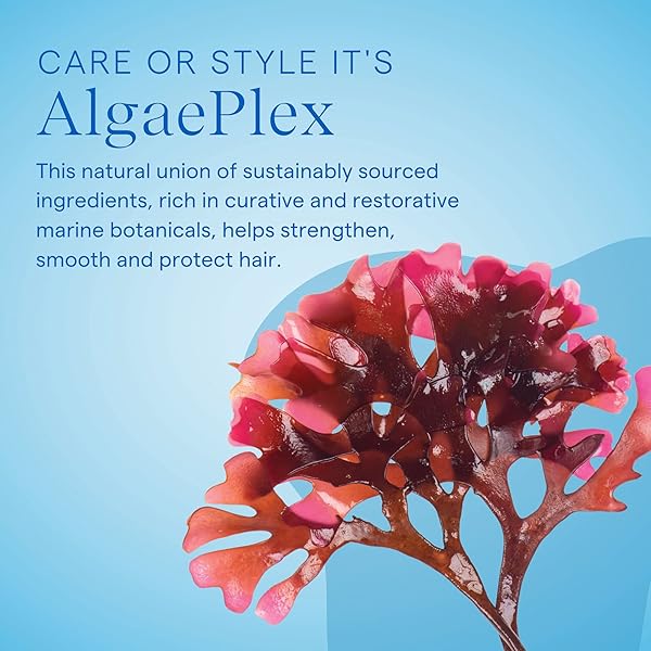 AQUAGE MOLDING MEGAGEL – PROFESSIONAL FIRM-HOLD STYLING GEL FOR WET LOOKS, SCULPTED BLOWOUTS & HIGH-GLOSS FINISH – LIGHTWEIGHT, NON-FLAKING, HUMIDITY-RESISTANT HAIR GEL FOR ALL HAIR TYPES – 4 OZ