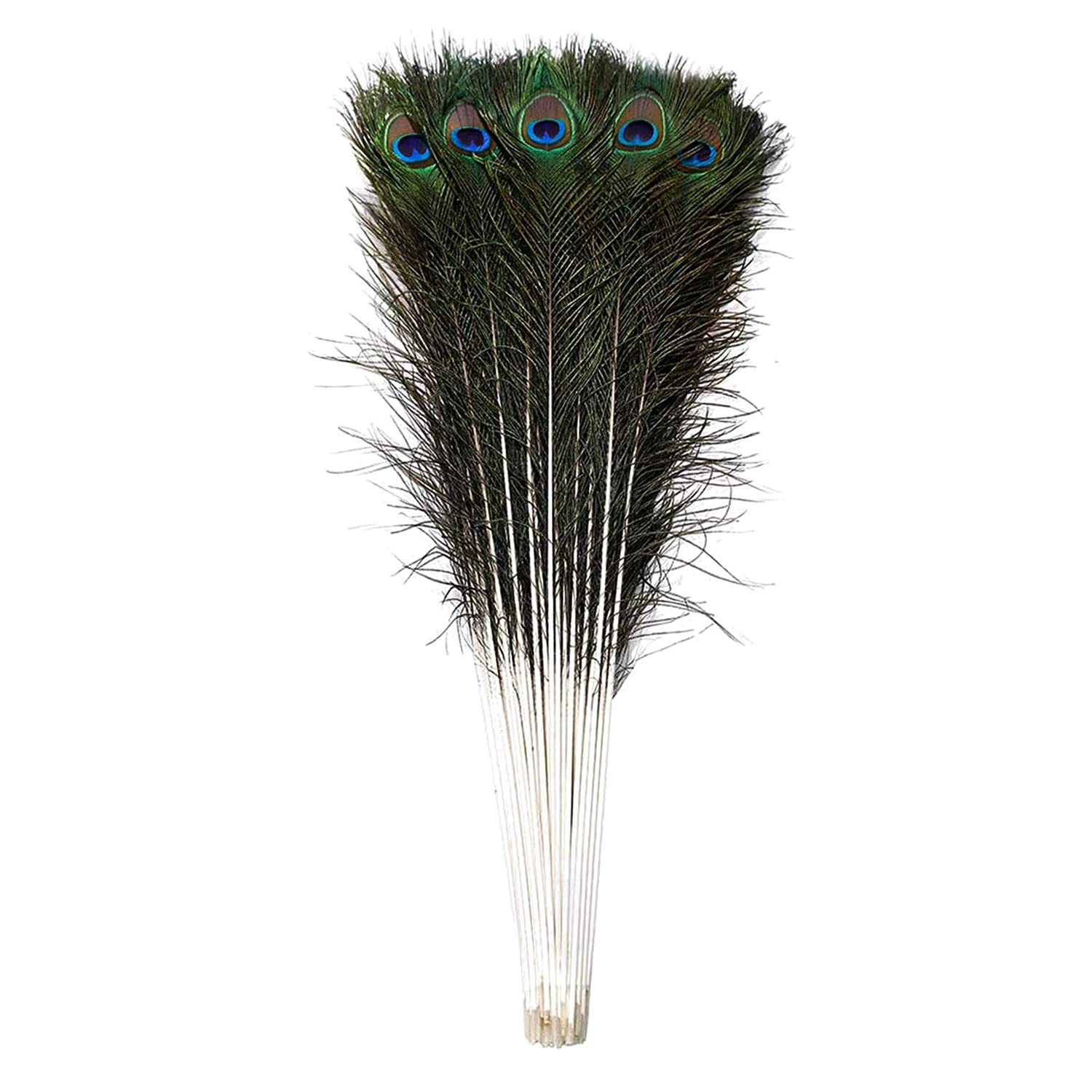 Trimming Shop Real Peacock Feather 27 inches - 31 inches Bird Tail Colourful Feathers Pack for Wedding Christmas Party Centerpiece Decoration, DIY Art & Craft, 25pcs