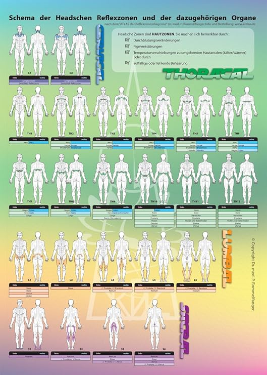 Get Lehrtafel headsche zonen For Free Lehrtafel Headsche Zonen