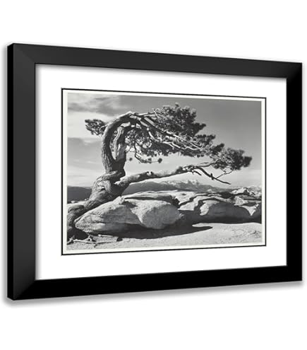 Amazon.com: McGaw Graphics Art Print: Mt. McKinley Range, Clouds