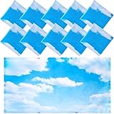 10 Pack Fluorescent Light Covers 2 x 4 ft Magnetic