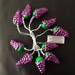 Fruit String Lights Battery Powered Indoor Outdoor