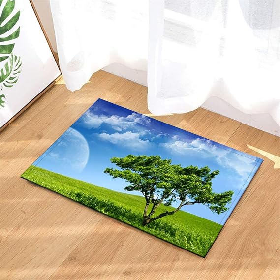 Badteppich: 40 X 60 cm. Plus Samt. rutschfest. 3D Hd-Druck. Haus