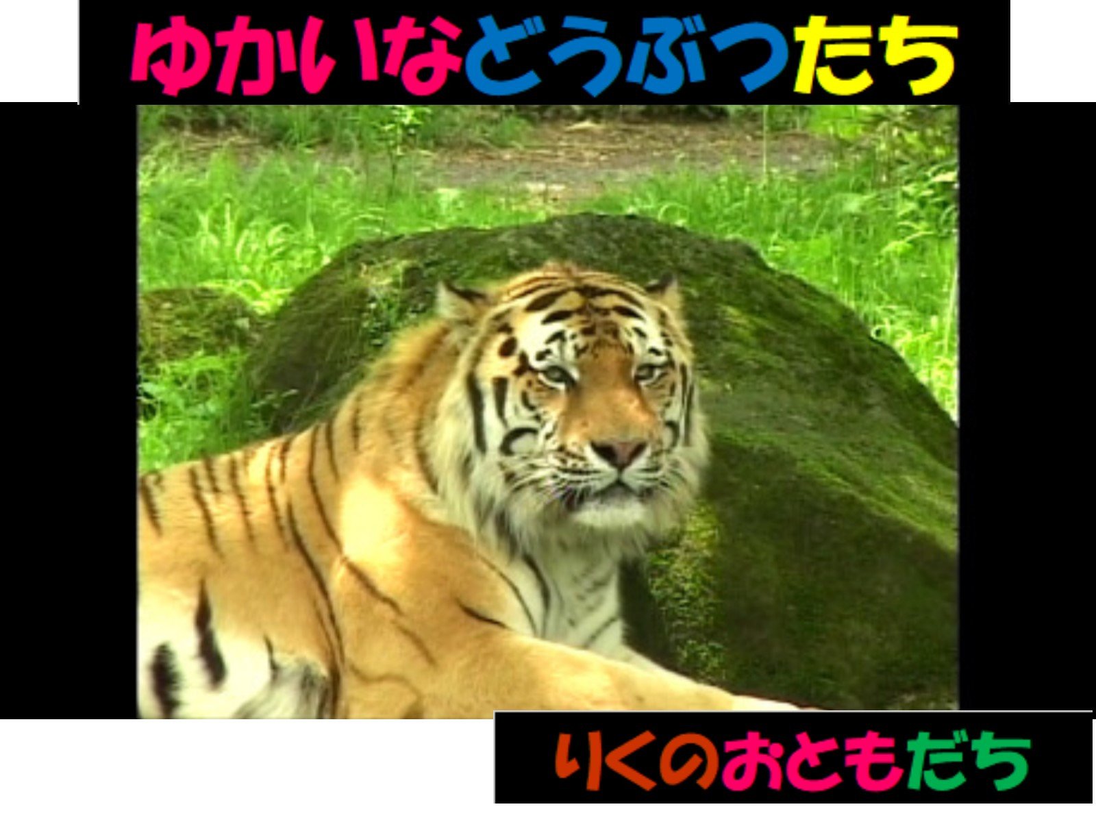 Amazon Co Jp ゆかいなどうぶつたちを観る Prime Video