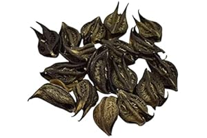Bichhu Phal - Martynia Annua - Bichhu Fal - Devil Pod - Kaknasa - 100 Gram