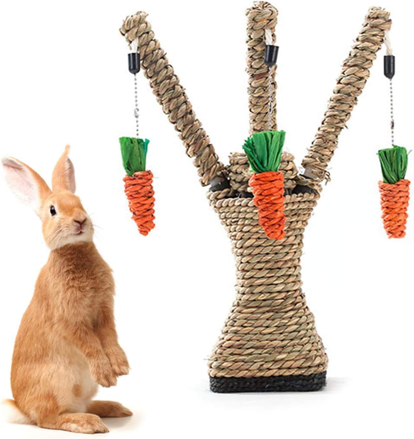 Small Animal Activity Toy