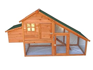 Chicken Coop And Run Amazoncom