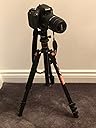 Great wee tripod.