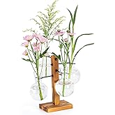Plant Propagation Station with Wood Stand, Propagation Vases for Plants, Terrarium Kit for Home Office Garden Decor, Gifts for Plant Lovers - 4 Bulb Glass Vases