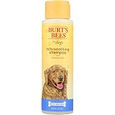 CLIF COCO CHO CHIP CASE, 2.4 GR | Honeysuckle and aloe, pH-balanced formula, 95%+ natural origin, no sulfates or fragrances