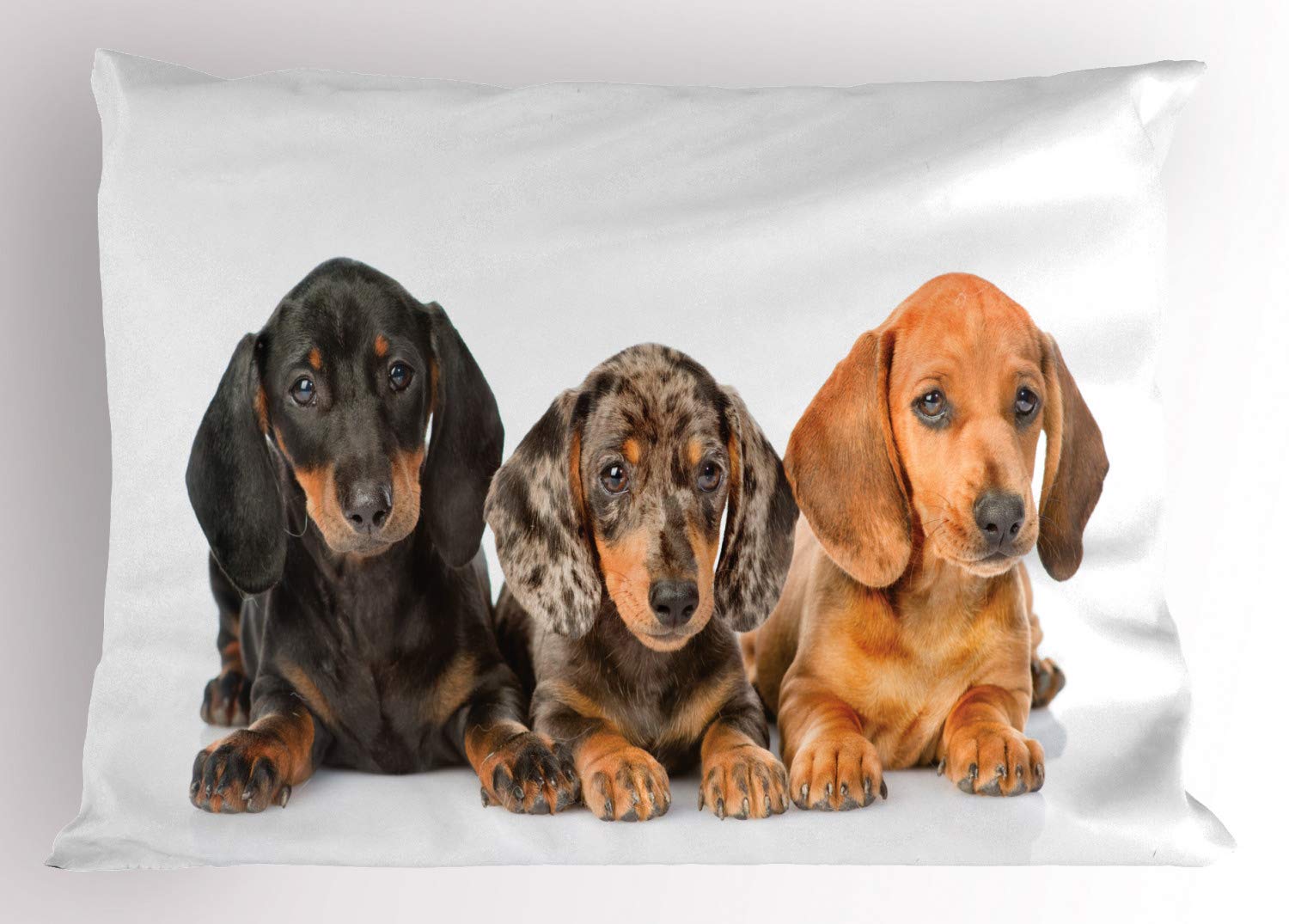 ABAKUHAUS Dachshund Pillow Sham, Dogs Lays, Decorative Standard Queen Size Printed Pillowcase, 30" X 20", Dark Taupe Grey Taupe