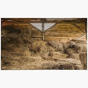 Felpudo Alfombra de puerta Trabajo Seco Amarillo Pila Rústico Montones