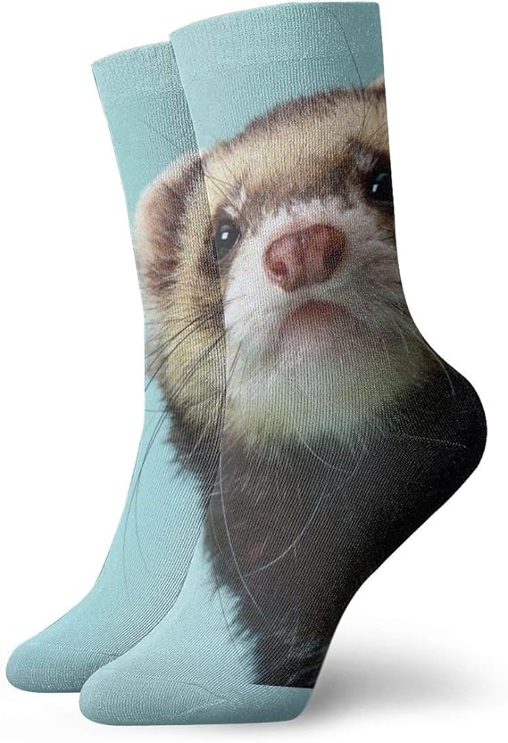 Patterned Crew Socks For Men & Women Alphabetical Ferret Socks: Amazon