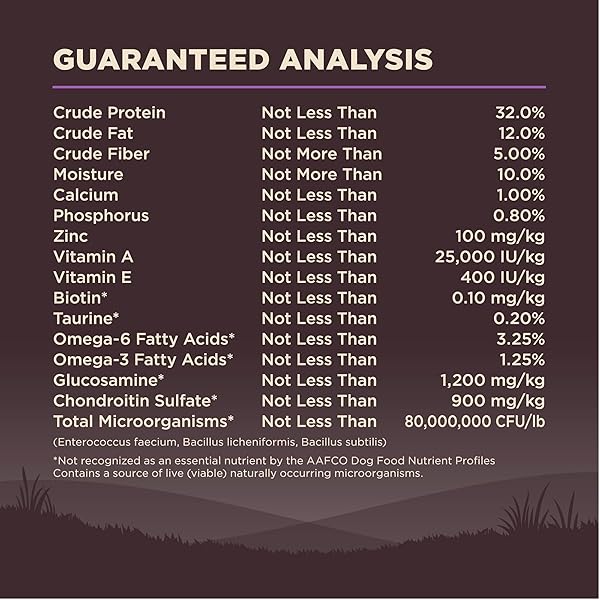 WELLNESS CORE AGE ADVANTAGE SENIOR DRY DOG FOOD, GRAIN FREE KIBBLE, NATURAL, HIGH PROTEIN, TURKEY AND CHICKEN RECIPE, 4 LB BAG