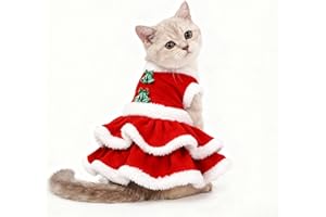 DELIFUR Cat Dog Christmas Dress- Santa Claus Puppy Velvet Skirt Christmas Outfit Dog Girls Winter Clothes for Cat and Puppy Red (X-Small)