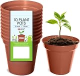 Whitefurze G04012 7.5cm Garden Pot Terracotta Set of 10