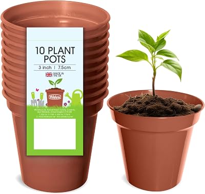 Whitefurze G04012 7.5cm Garden Pot Terracotta Set of 10