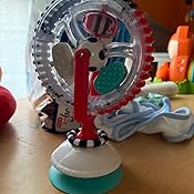 sassy whimsical wheel