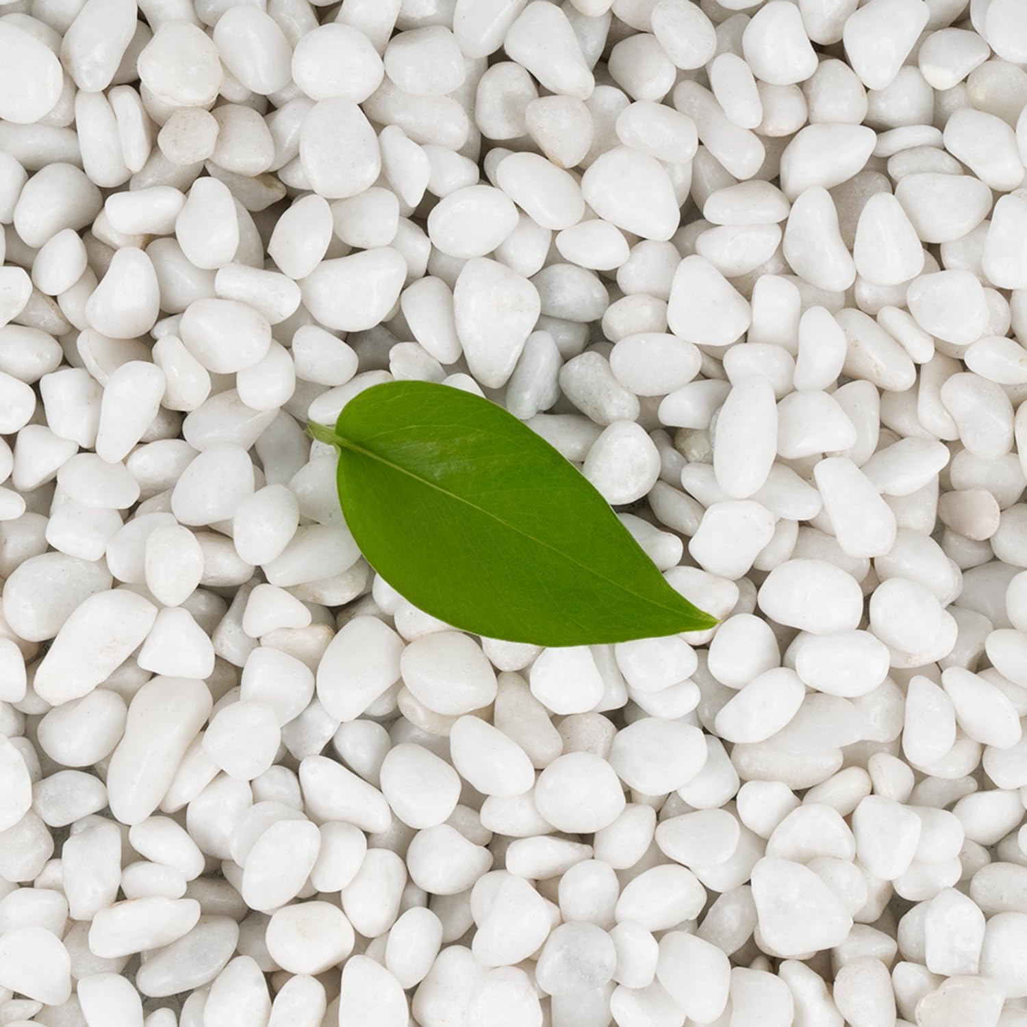 Hardscaping Materials - Calofulston 10 LB White Pebbles for Plants, 3/8 inch White Rocks for Vases Landscaping, Small Decorative Stones for Indoor Outdoor, Polished, Come with Gloves