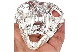 SEUJJRO Transparent Canine Dog Cat Rabbit Teeth Skull Anatomical Model Dental Animals Oral Tooth Jaw For Veterinary Office Teaching Decoration Demonstrate (Cat Skull)