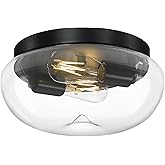 FEMILA Black Flush Mount Ceiling Light, 12" Ceiling Light Fixtures for Kitchen Island, Bedroom, Living Room, with Dome Glass 