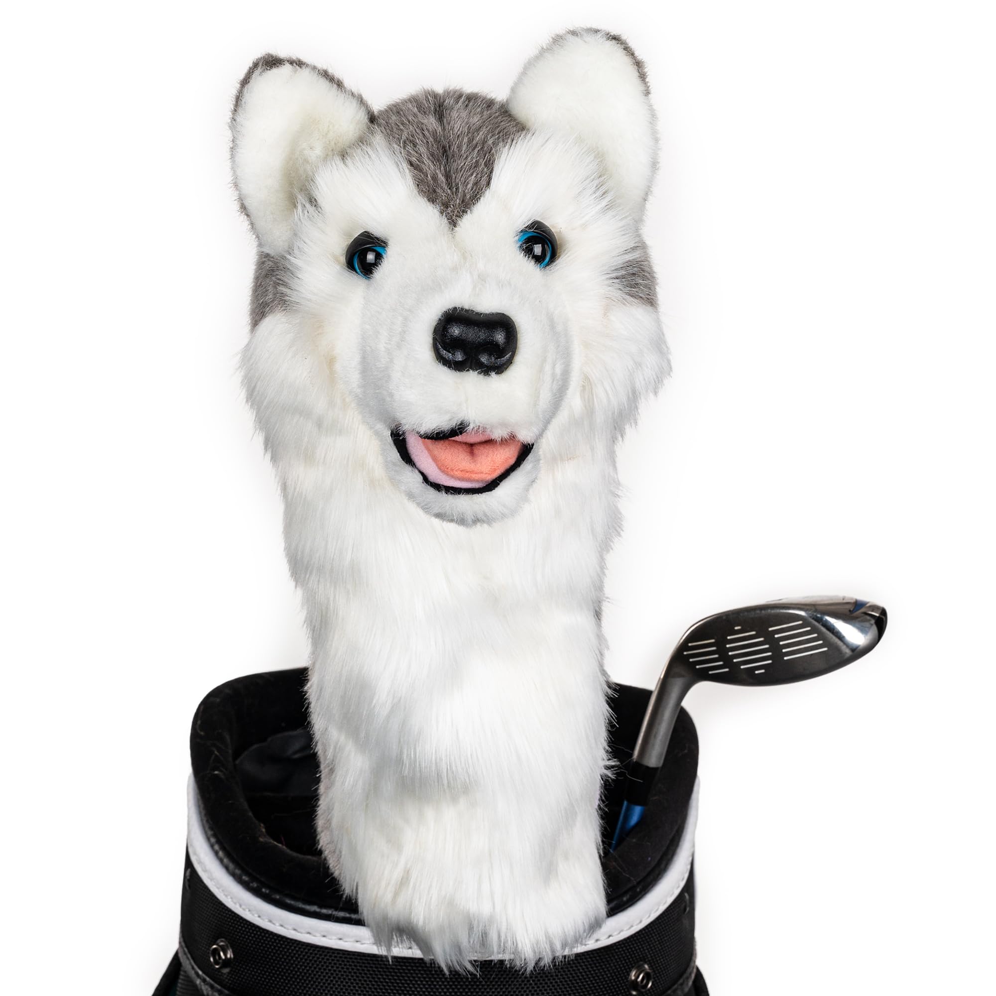 Daphne's Novely Headcover - Husky