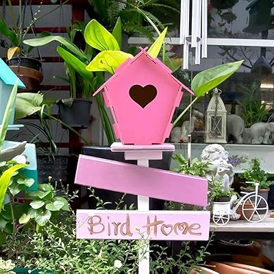 Buy Coodoo 2 Pack Bird House Kits Arts And Crafts For Kids Ages 8 12 Diy Arts Crafts House Gardening For Kids Teens Boys Girls Ages 4 8 Online In Indonesia B08f9xvcly