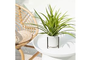 Velener 15" Potted Spider Plant in Artificial Plant Stand- Fake Plants for Indoors Outdoor Patio Decor