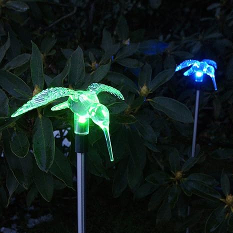 Solar Garden Hummingbird Stake Lights, 2 Piece: Amazon.co.uk: Kitchen