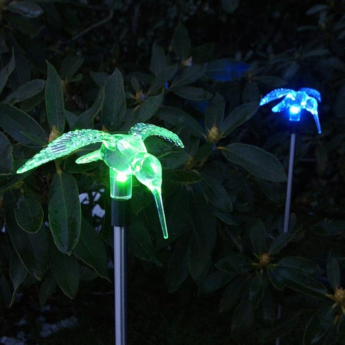 Solar Garden Hummingbird Stake Lights, 2 Piece Amazon.co.uk Kitchen