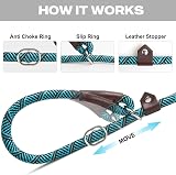 Fida Slip Lead for Dogs 1.8m Reflective Rope Leash Blue view 4