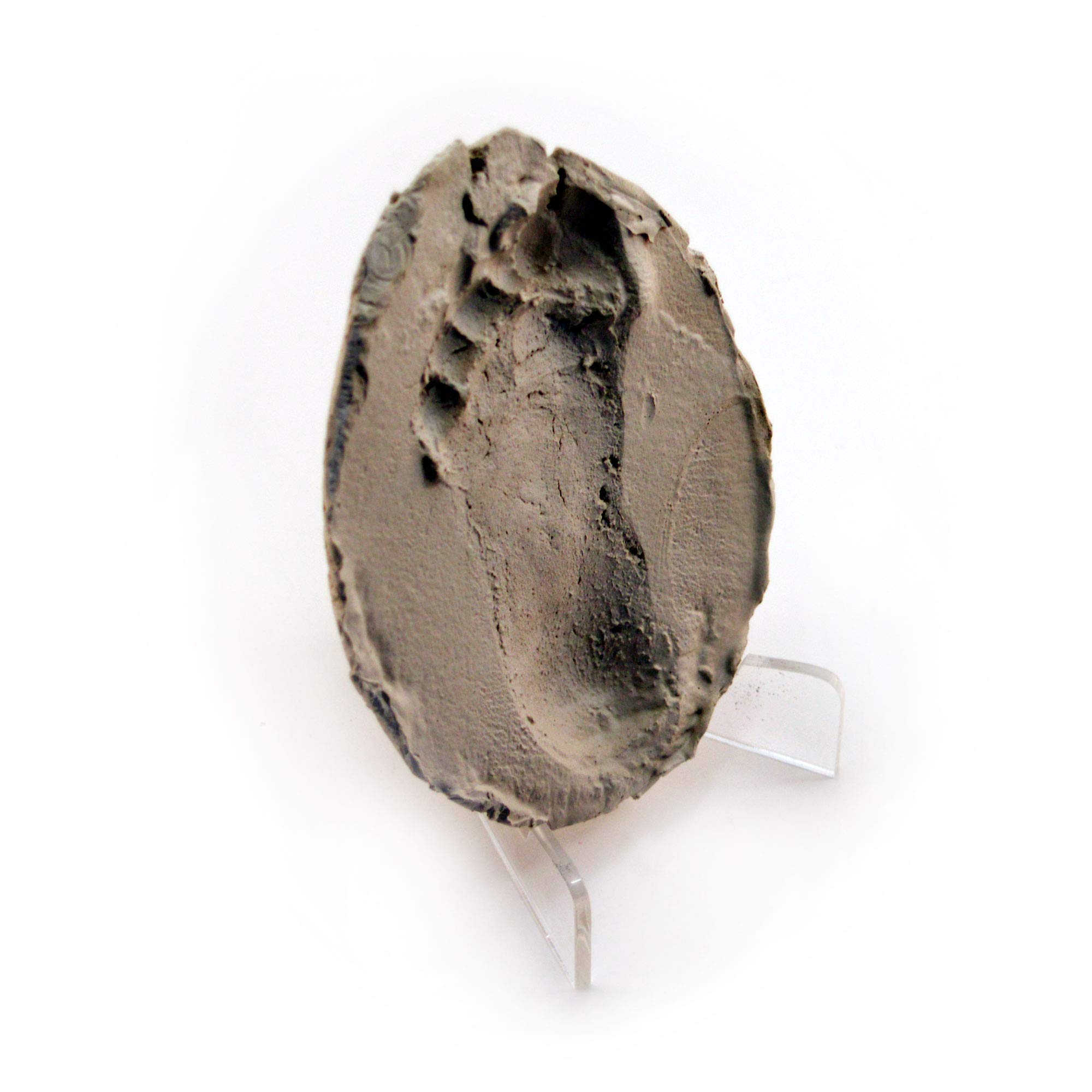 PELLER'S 5 X Clear Acrylic Display Easels for Geocoin, Coins, Photos, Medals, and Other Collectibles. Size L