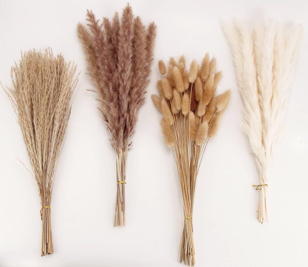 ANPROOR Dried Pampas Grass Decoration 100 Pcs Bunny Tail Dried Flowers
