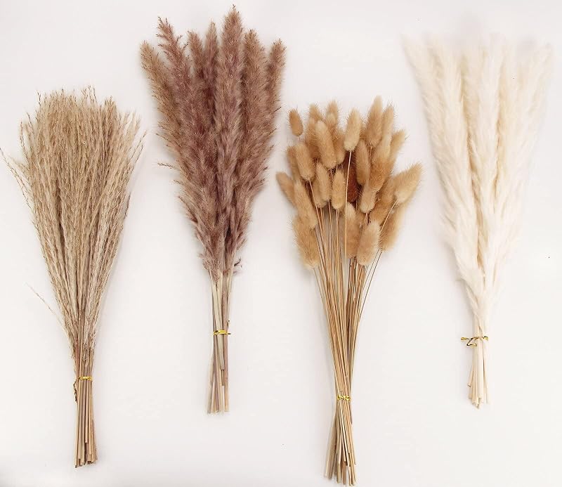 ANPROOR Dried Pampas Grass Decoration 100 Pcs Bunny Tail Dried Flowers