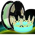 FLASHFORGE Rapid PLA Filament 1.75mm Luminous Melody, 500mm/s High Speed Printing, Glow in The Dark 3D Printer Filament 1kg Spool, Dimensional Accuracy +/- 0.02mm, Brilliant, Long-Lasting Glow