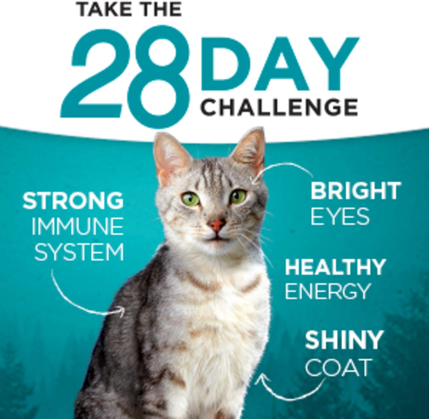 purina one true instinct grain free cat food