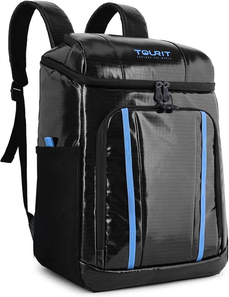 usha air cooler cd 503 price