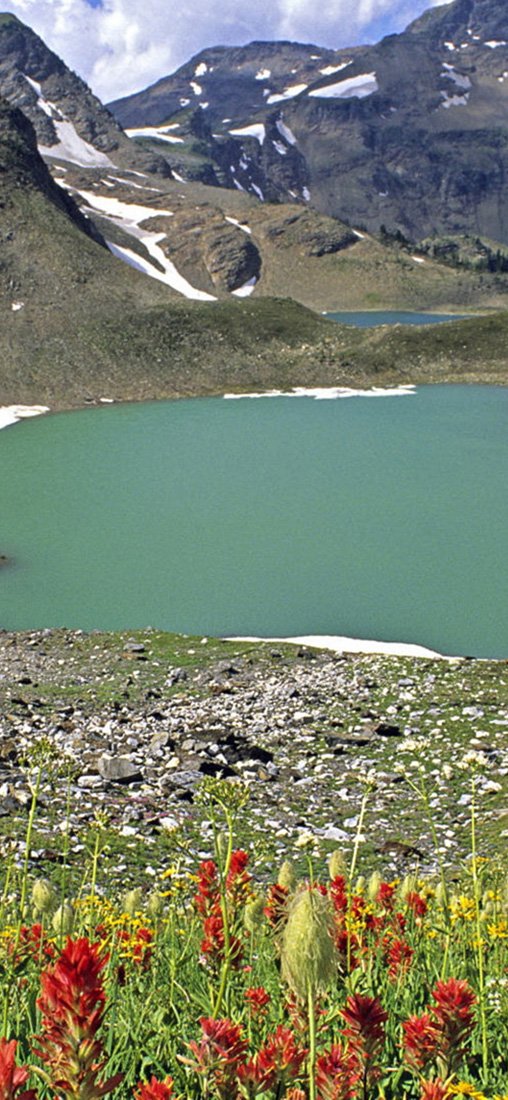 PeelitStickit, Beautiful Nature Wall Murals, ID-1384, vinyl