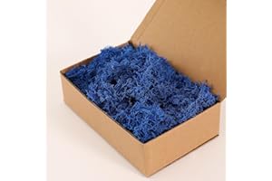 Dallisten Moss Preserved, Craft Reindeer Green Decorative Moss for Enchanted Forest Decorations, Fairy Garden, Party, Art Wall, Indoor Potted Plants,Table, Terrariums, Bonsai Decor (Blue,3.6OZ)