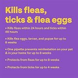 Bob Martin Clear Plus Spot On Small Dogs 2-10kg 3 Pipettes Flea Tick Lice view 2