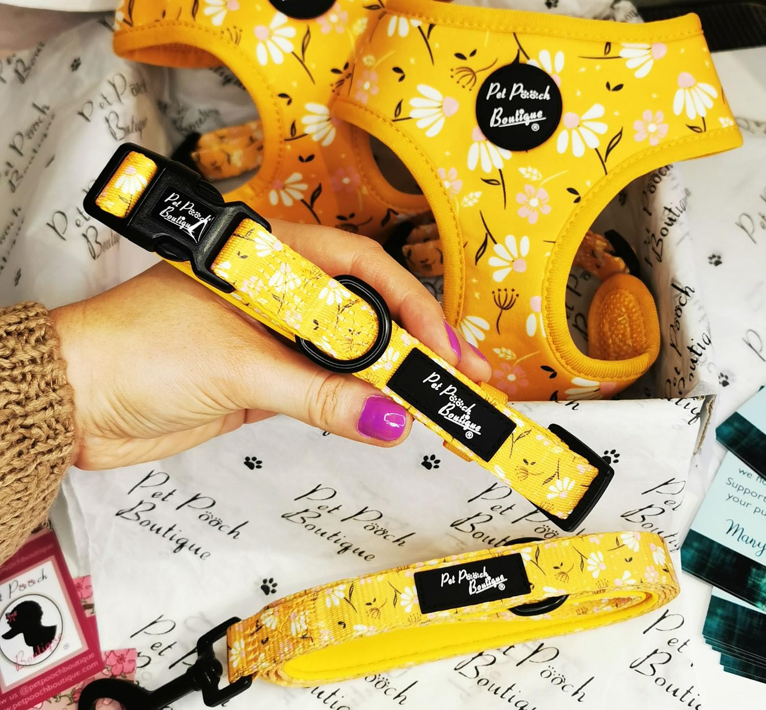 Sunshine Daisy Dog Collar S