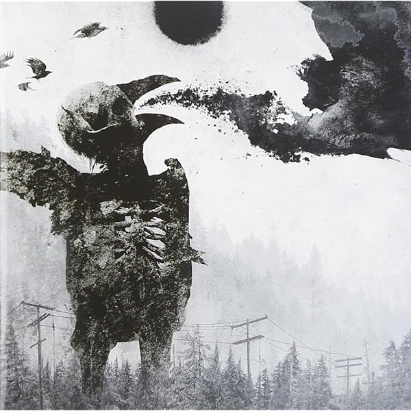 Katatonia - The Great Cold Distance - Amazon.com Music