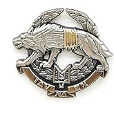 Ukraine Special Operations Forces Enamel Pin - Cooperation Series - Enamel Lapel Pin - Plated Badge for Clothing, Bags, and Lanyards