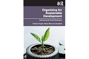 Organizing for Sustainable Development: Addressing the Grand Challenges