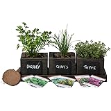 Amazon.com : Reclaimed Barnwood Planter Box Mini Herb Garden Kit - Grow