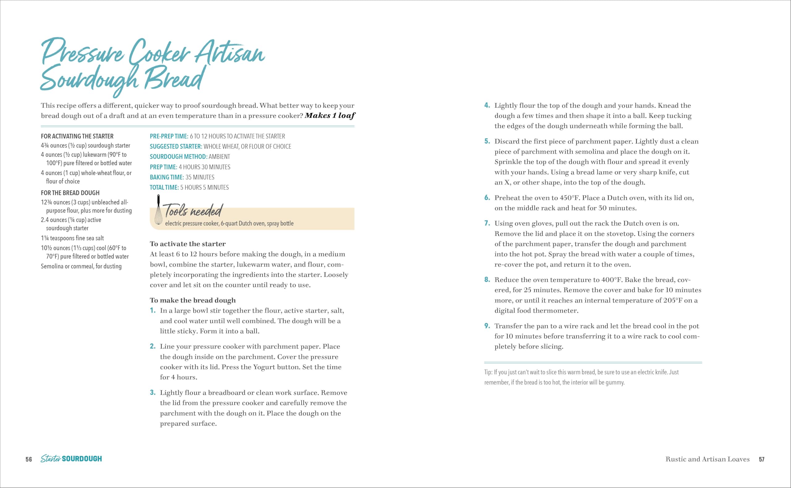 Starter Sourdough: The Step-by-Step Guide to Sourdough Starters, Baking Loaves, Baguettes, Pancakes, and More