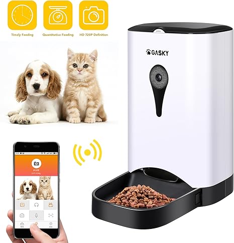 lifespan of feral cats