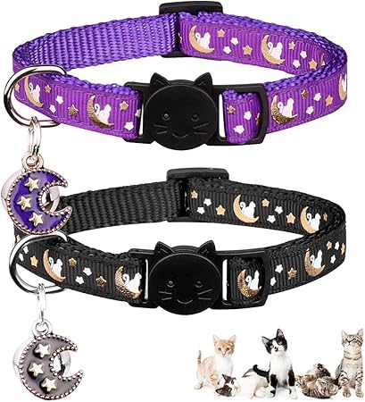Kitty collars Clearance