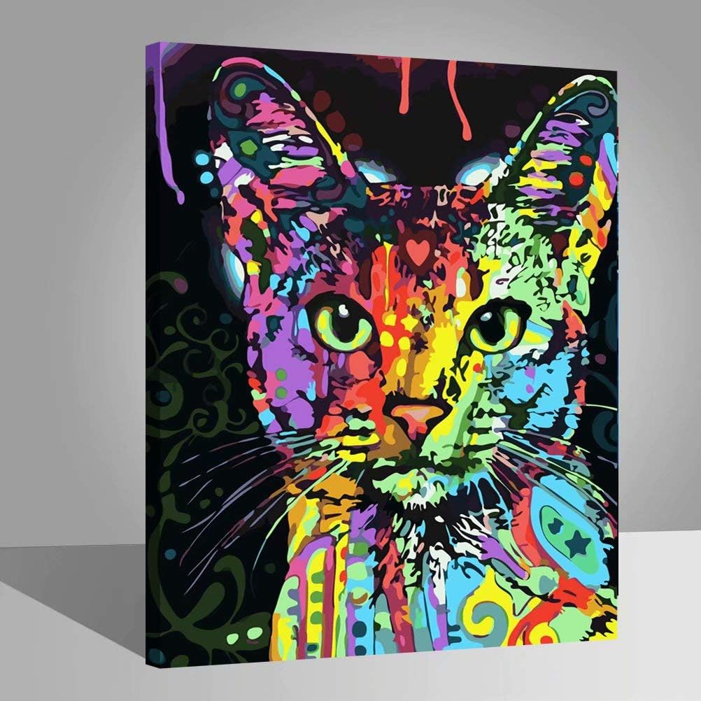 LIUDAO Paint by Numbers Kits Oil Painting on Canvas with Brushes 16x20 Inch Wooden Frame (Cat)